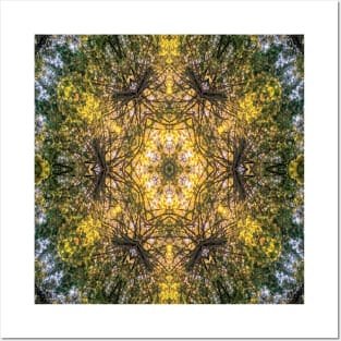 Kaleidoscopic Rainforest Posters and Art